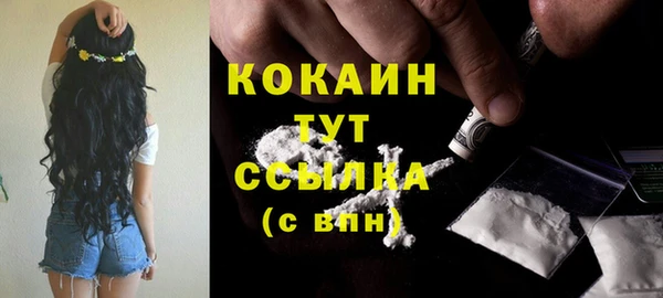 ешки Белокуриха