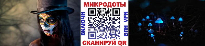 Галлюциногенные грибы Psilocybe  Саяногорск 